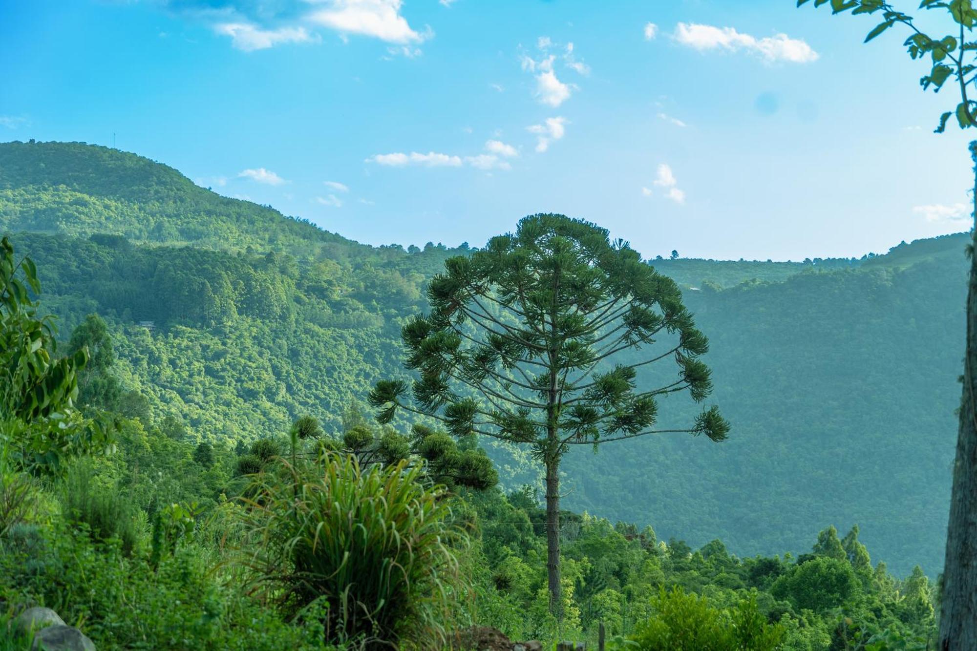 Valle Ristretto غرامادو المظهر الخارجي الصورة